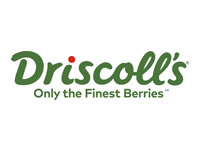 Driscoll's Berries Available at Hollywood Markets